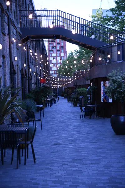 DSC_1725 (Large).JPG